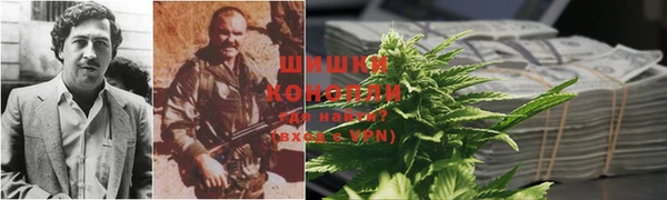 PSILOCYBIN Михайлов