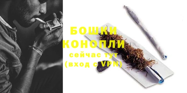 PSILOCYBIN Михайлов