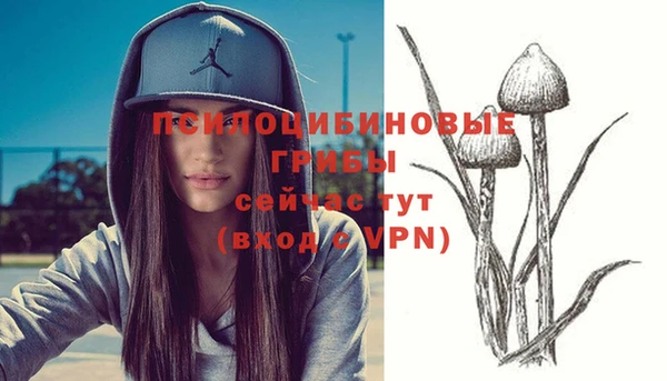 PSILOCYBIN Михайлов