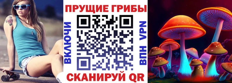 Псилоцибиновые грибы GOLDEN TEACHER  Купить закладки  Карабаш 